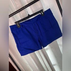 Stylus Blue Shorts